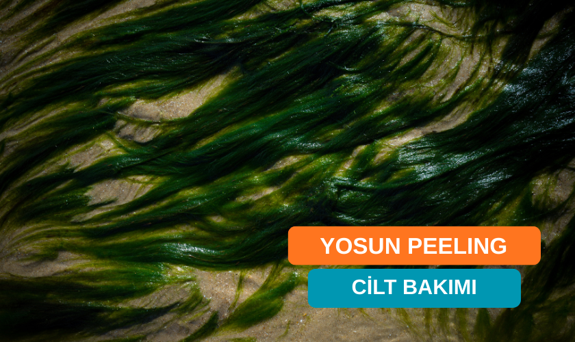Yosun Peeling Nedir? Faydaları ve Uygulama Aşamaları